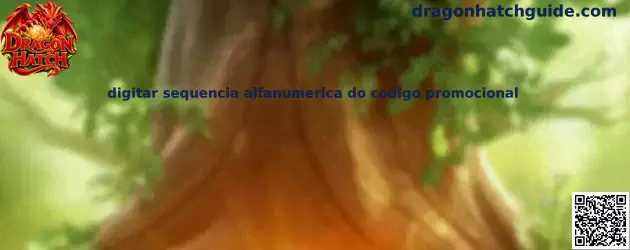 Como digitar código promocional